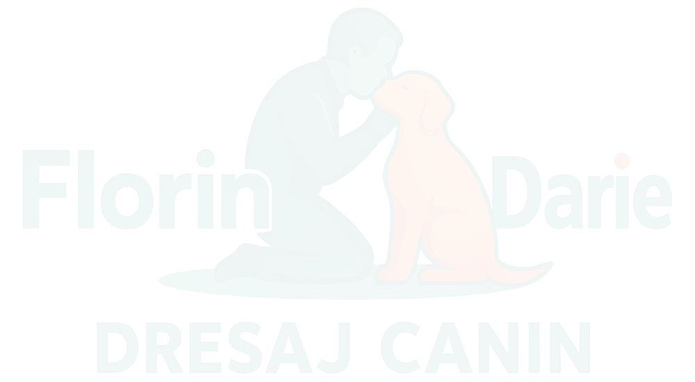 logo_nou_n