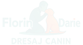 logo_nou_n4